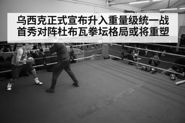 boxer training gym