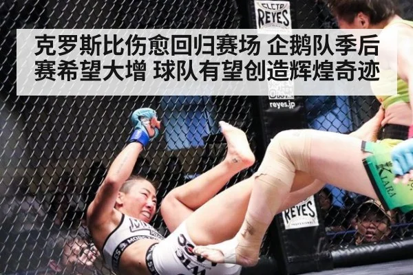 克罗斯比伤愈回归赛场 企鹅队季后赛希望大增 球队有望创造辉煌奇迹