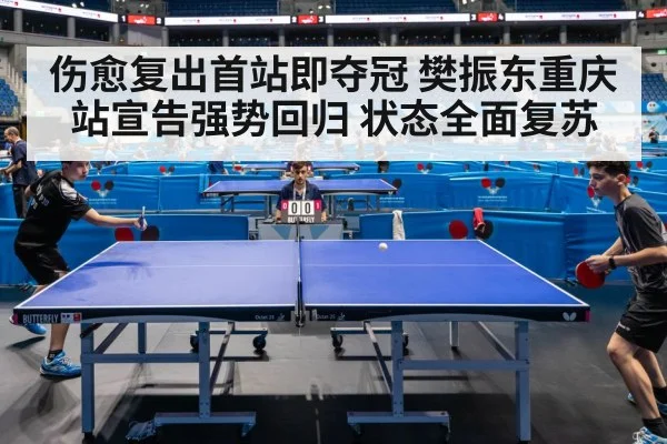 伤愈复出首站即夺冠 樊振东重庆站宣告强势回归 状态全面复苏